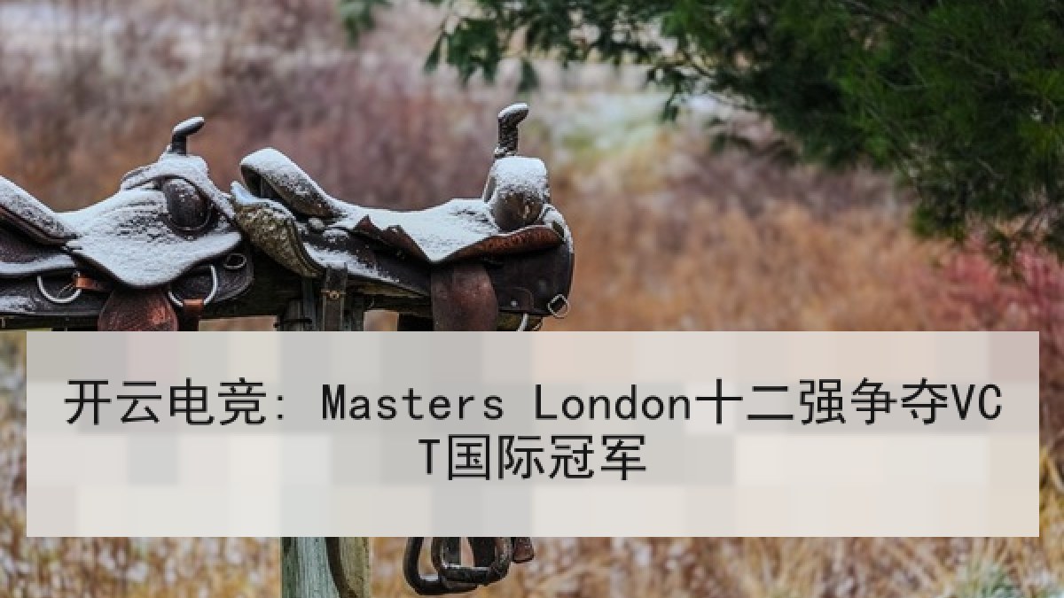 开云电竞: Masters London十二强争夺VCT国际冠军