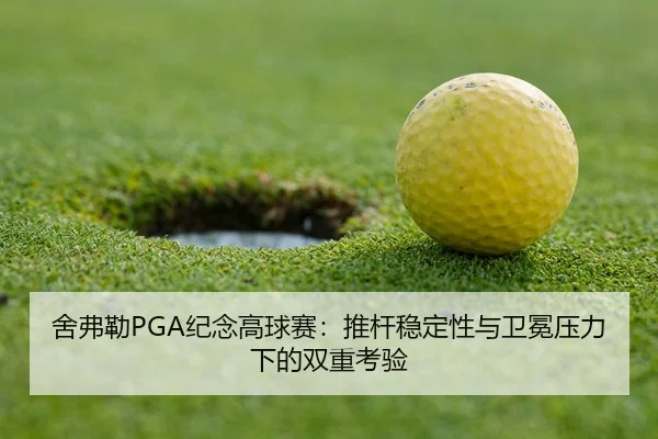 she-fu-lei-ji-nian-gao-qiu-sai-tui-gan-wen-ding-xing-yu-wei-mian-ya-li-xia-de-shuang-chong-kao-yan-2-299.jpg