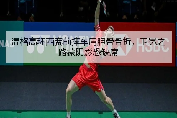 wen-ge-gao-huan-xi-sai-qian-shuai-che-jian-jia-gu-gu-zhe-wei-mian-zhi-lu-meng-yin-ying-kong-que-xi-3-642.jpg