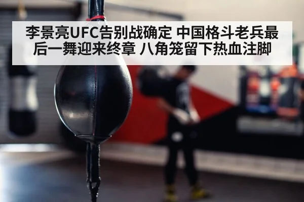 boxer training punching bag gym
